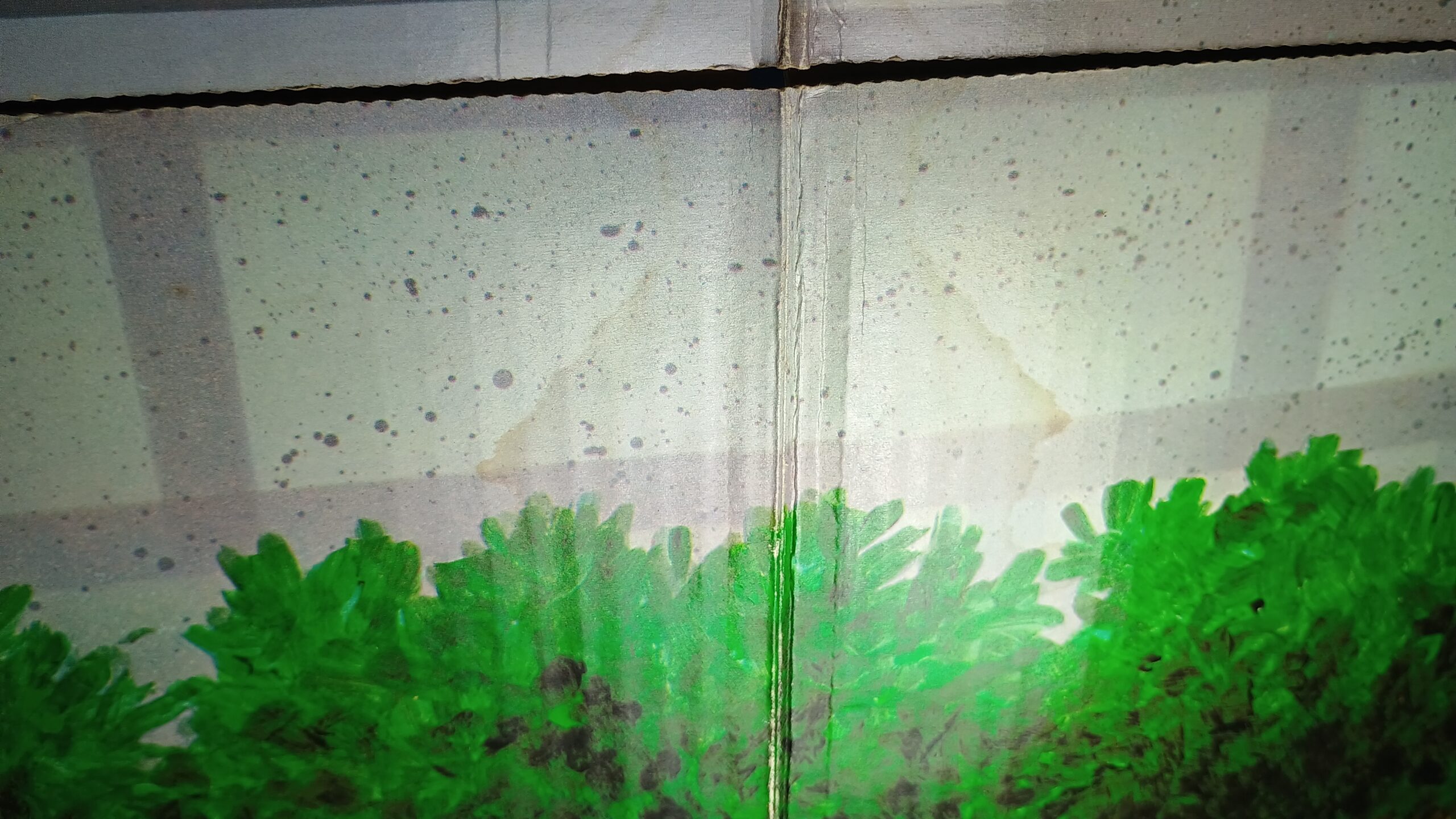 Six Million Dollar Man OSI Headquarters Walls and Floor - Oscar Goldman Office 7 Six Million Dollar Man OSI Headquarters Walls and Floor - Oscar Goldman Office - Image 7